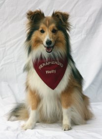 Holly - unser Therapiehund