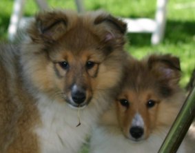 Liam & Logan 4 Monate alt