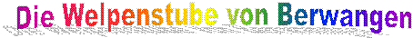 Die Welpenstube von Berwangen 